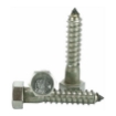 Picture of 304 Stainless Steel Hex. Lag Screw