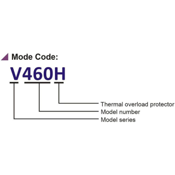 Picture of AUTO BOOSTER PUMP EVERGUSH